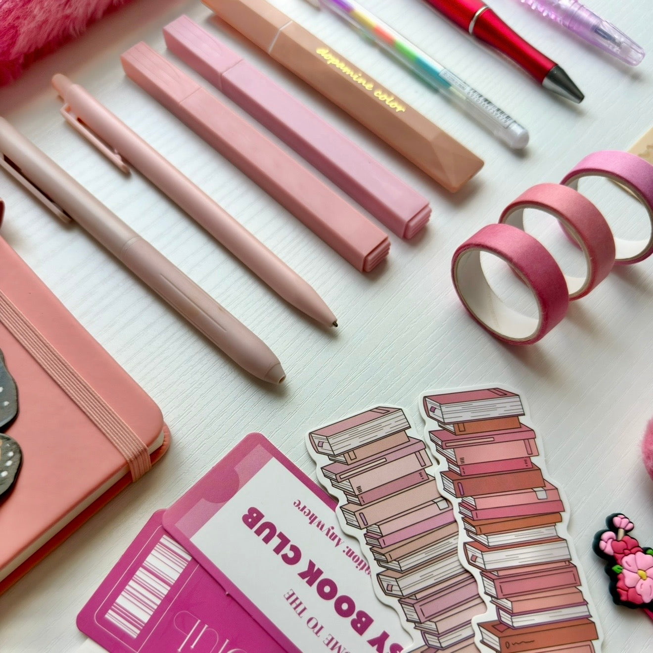 🪸CORAL PINK Bundle